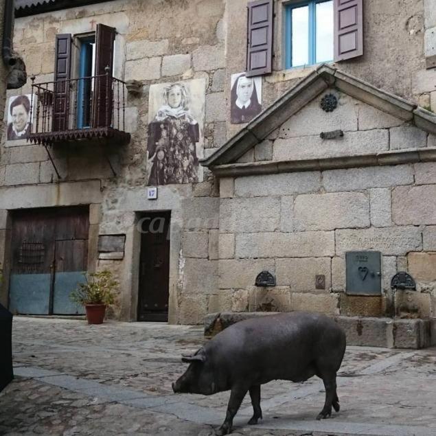 Casa Rural Amparo Могаррас Экстерьер фото