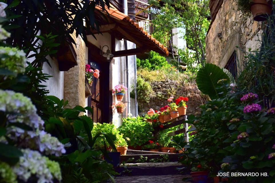 Casa Rural Amparo Могаррас Экстерьер фото